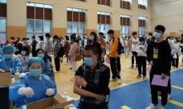 南京小学爆料事件最新消息,真相逐步浮出水面，家长担忧与学校回应交织