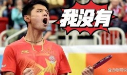 张继科最近爆料视频播放,独家爆料背后的故事与情感